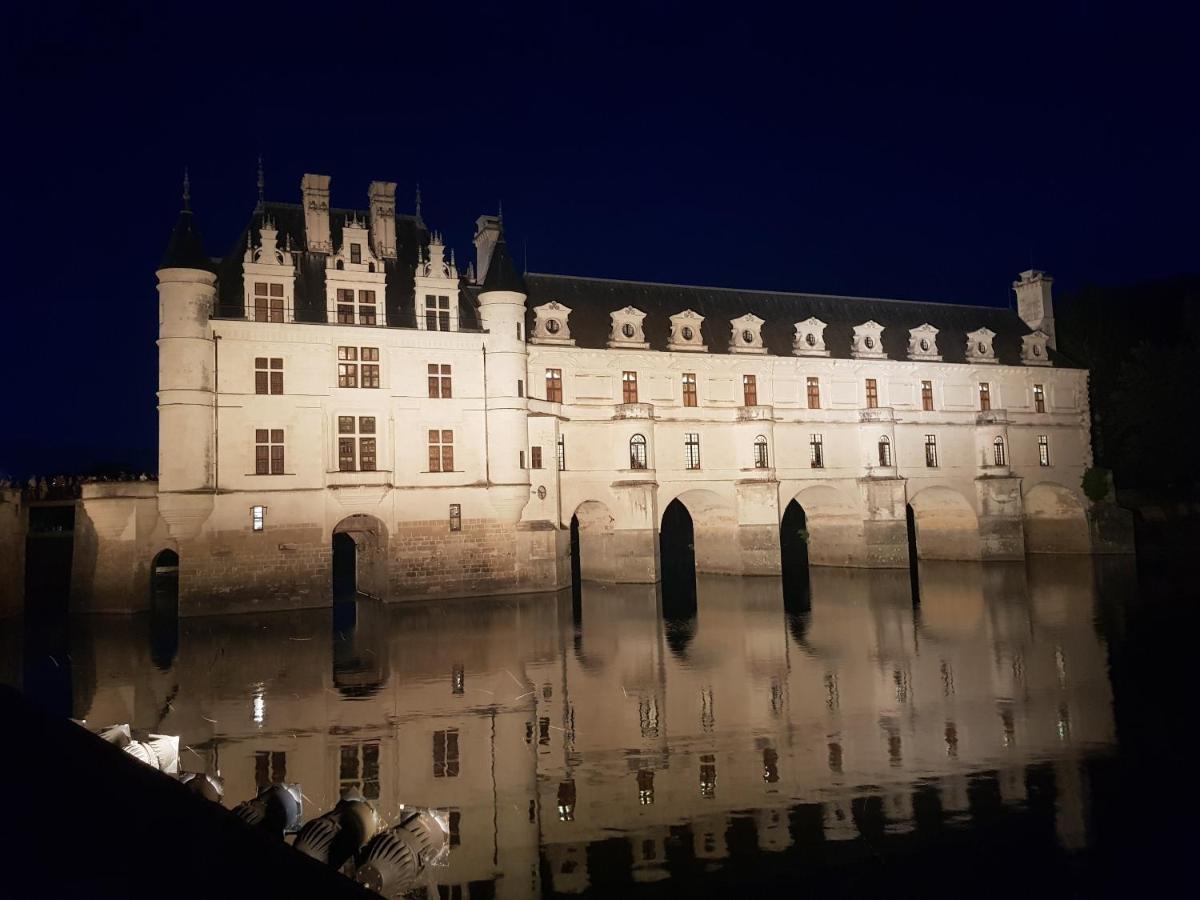 18 Chateaux Et Beauval Sur Un Rayon De 30 Km Saint-Georges-sur-Cher Zewnętrze zdjęcie