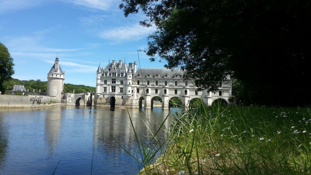 18 Chateaux Et Beauval Sur Un Rayon De 30 Km Saint-Georges-sur-Cher Zewnętrze zdjęcie
